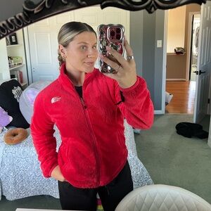 the north face fleece